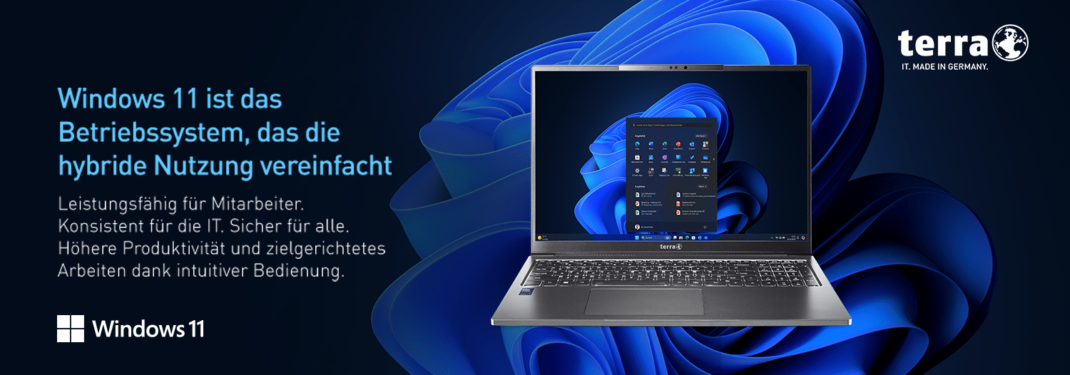 Windows 11 Banner Terra-PC