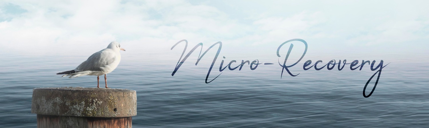 Möwe am Meer – Micro-Recovery
