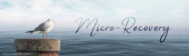 Möwe am Meer – Micro-Recovery