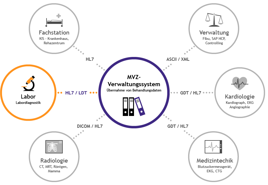 MVZ-Schnittstellen-Grafik Labor
